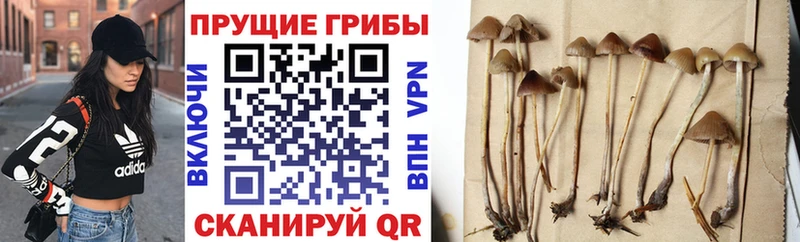 Галлюциногенные грибы мухоморы Янаул
